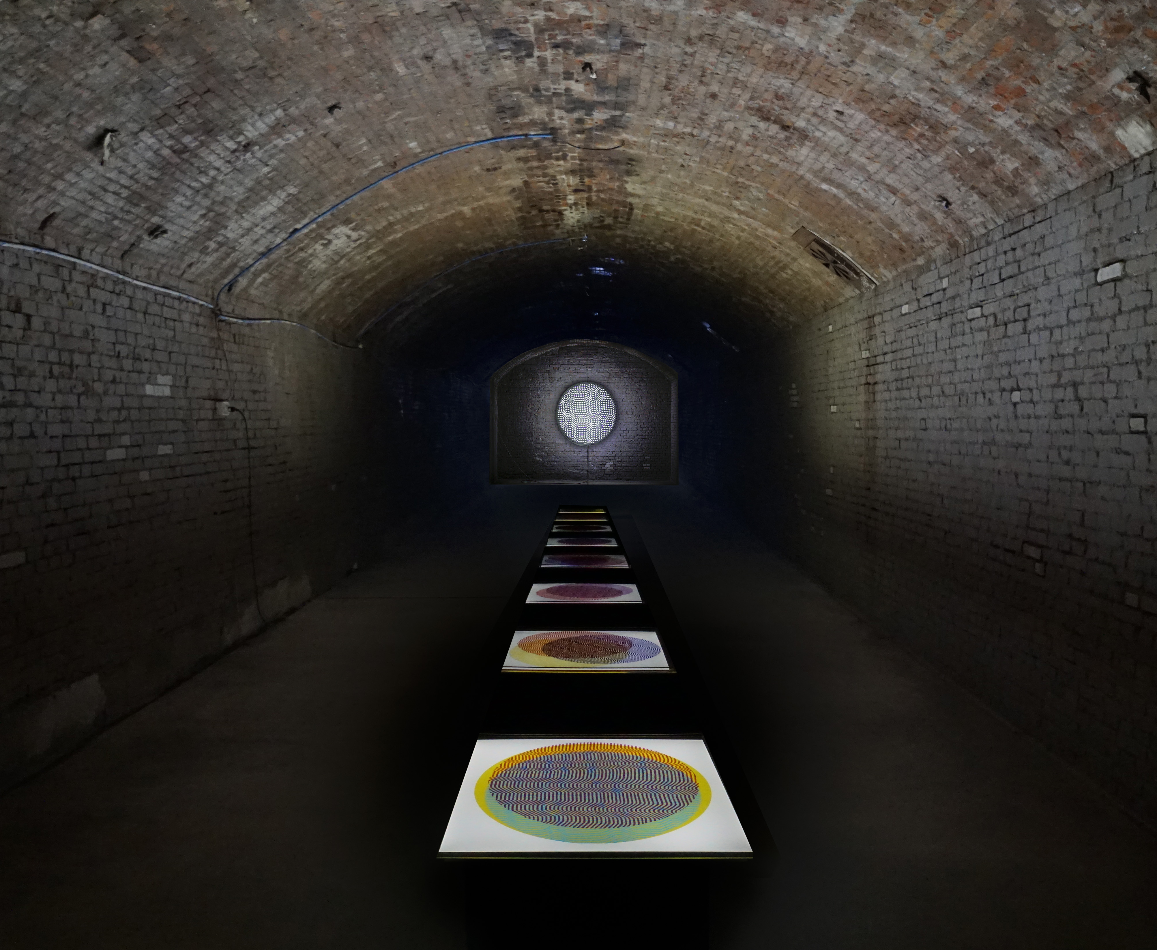 Liliana Iturriaga - MAC