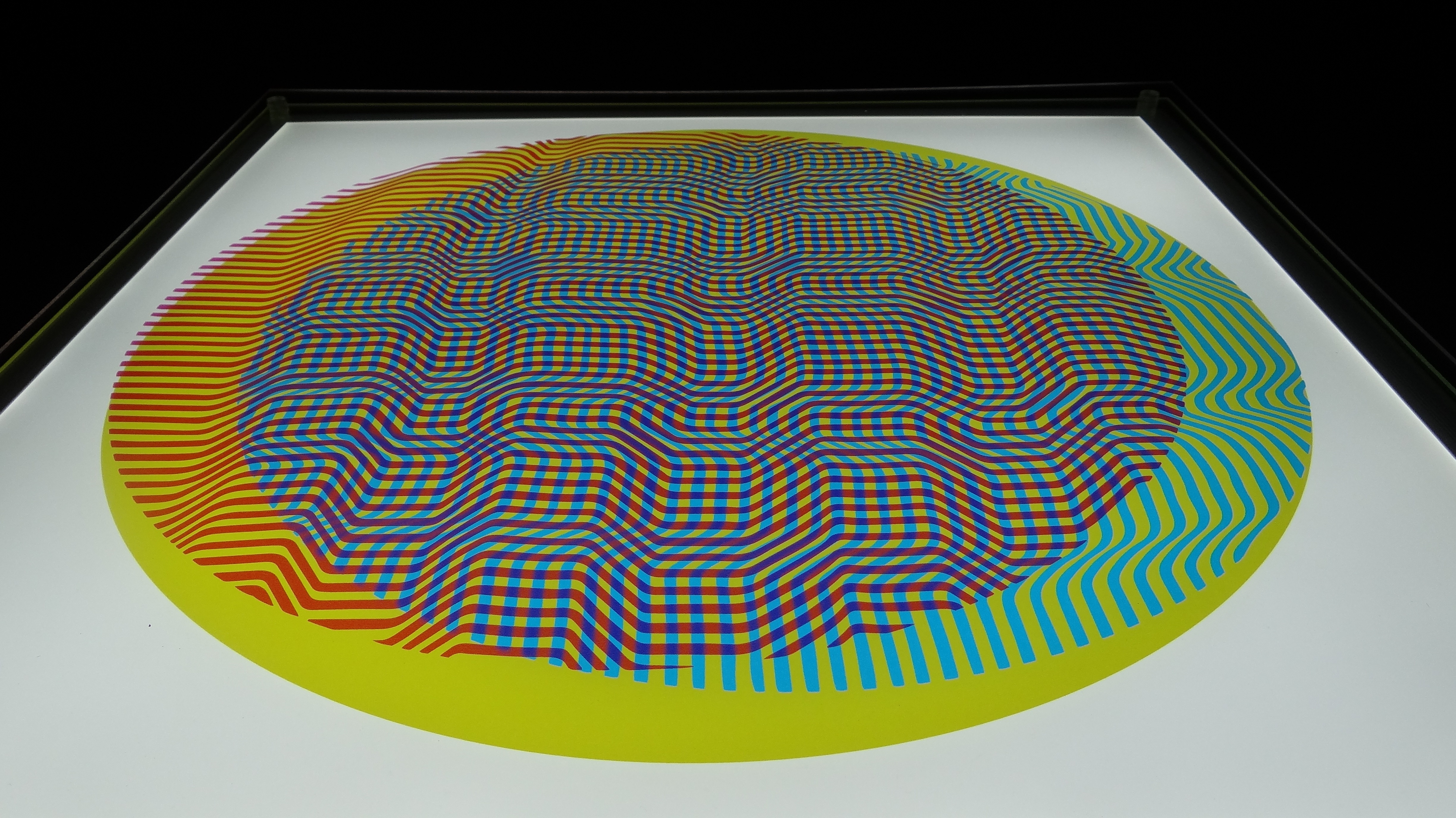 Liliana Iturriaga - Concéntricos