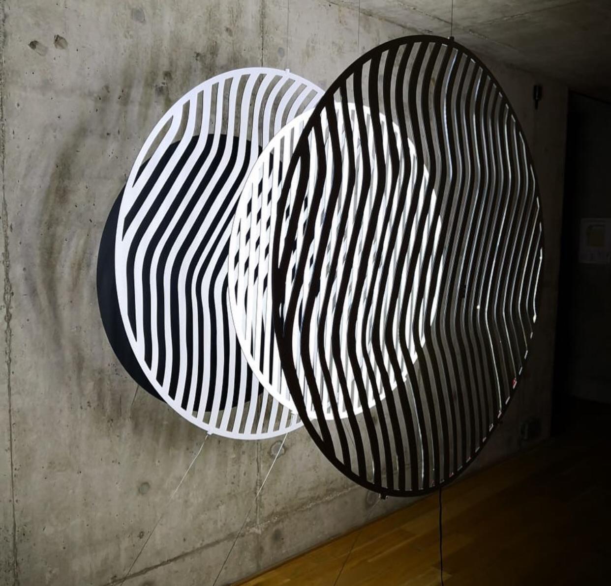 Liliana Iturriaga - Concéntricos