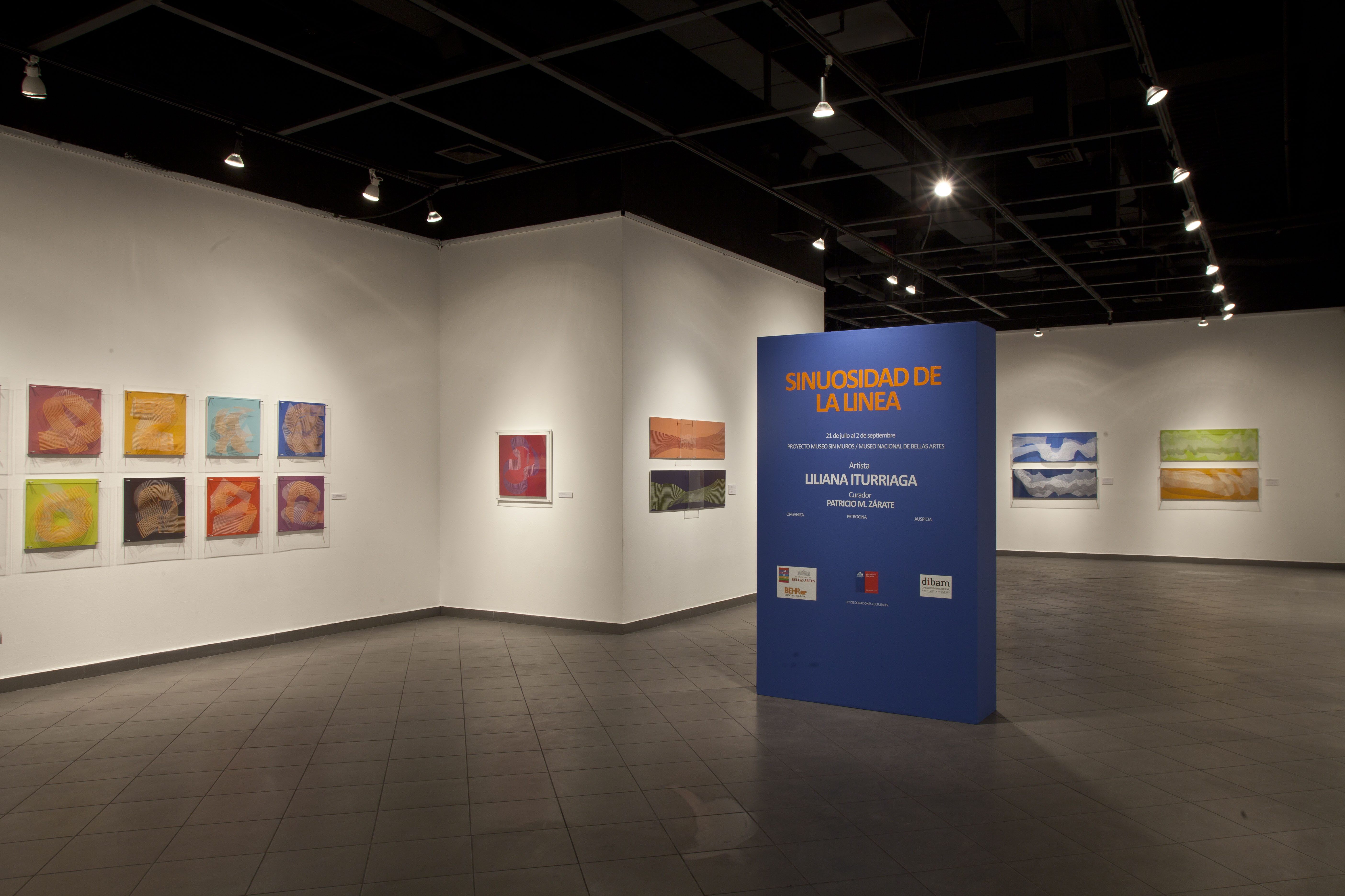 Liliana Iturriaga - sinuosidad