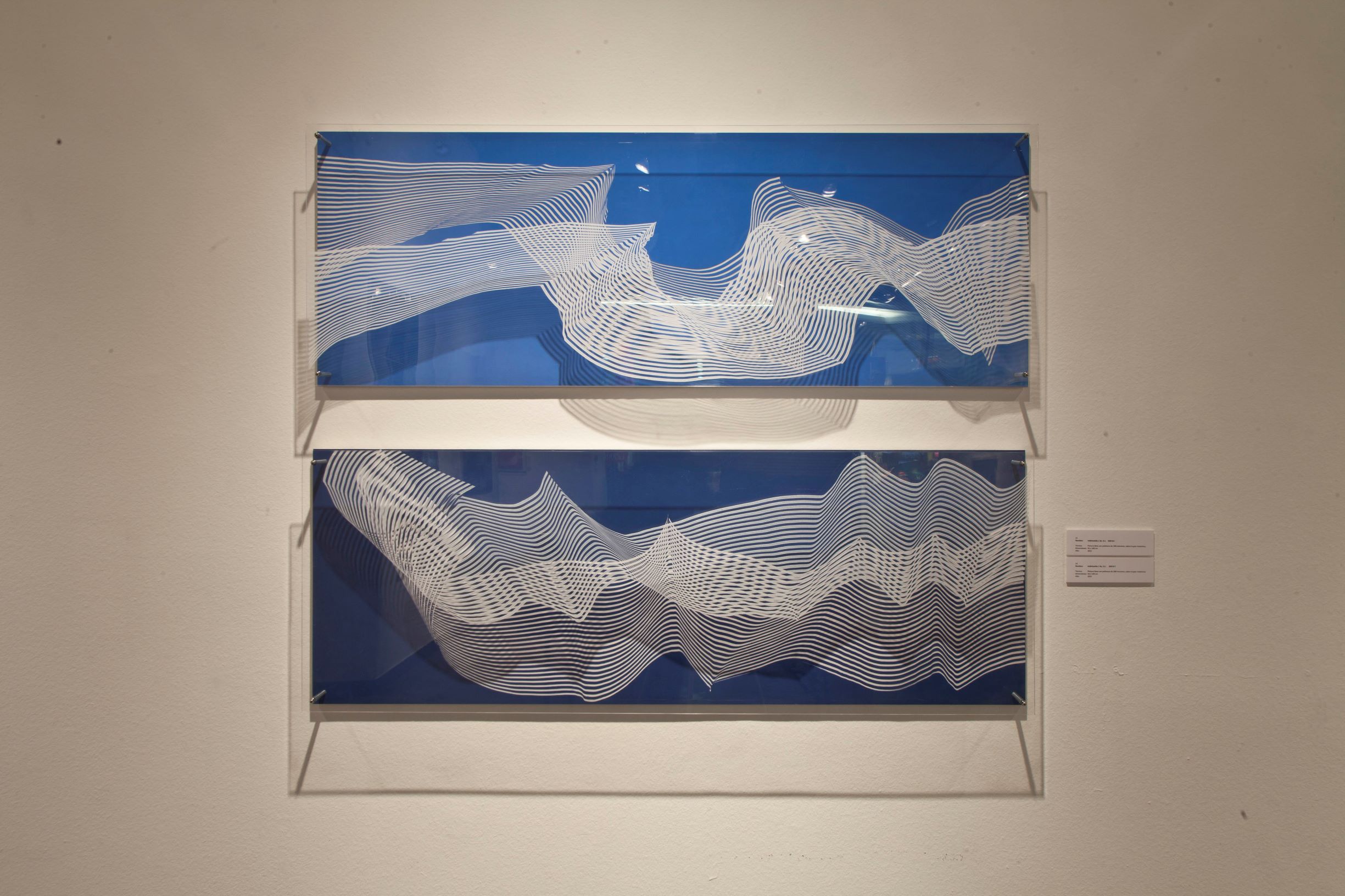 Liliana Iturriaga - sinuosidad 10