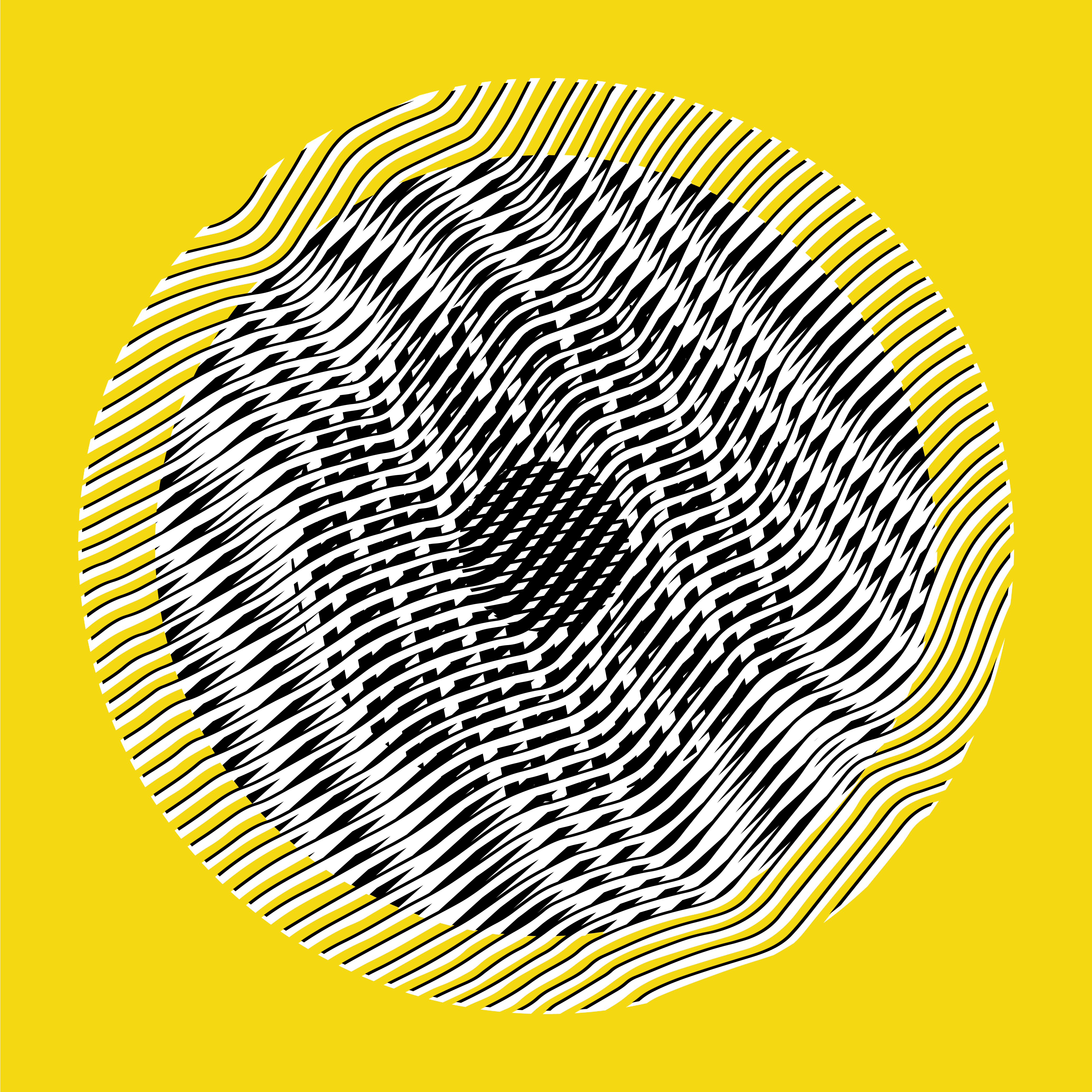 Liliana Iturriaga - Concéntricos