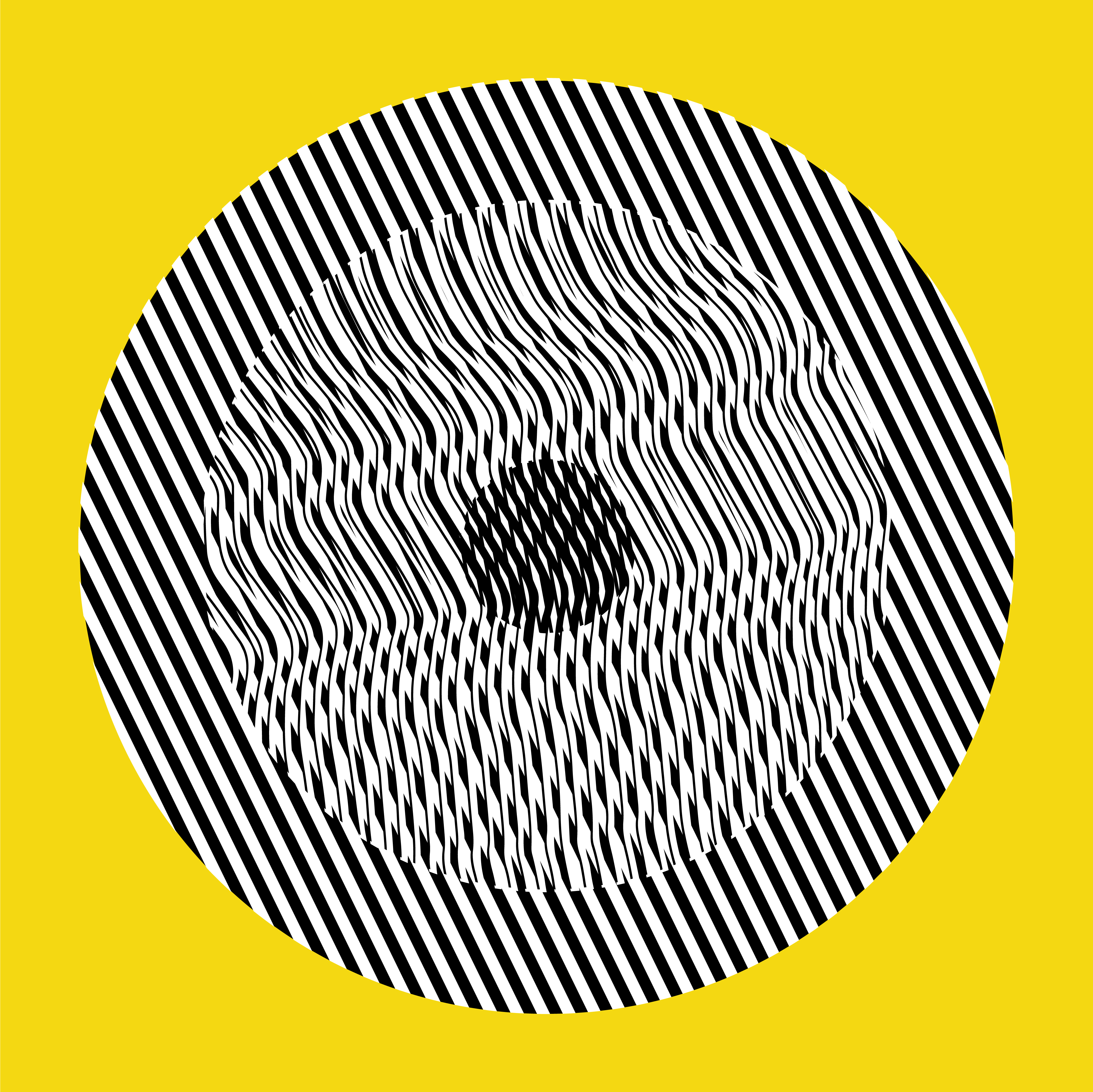 Liliana Iturriaga - Concéntricos